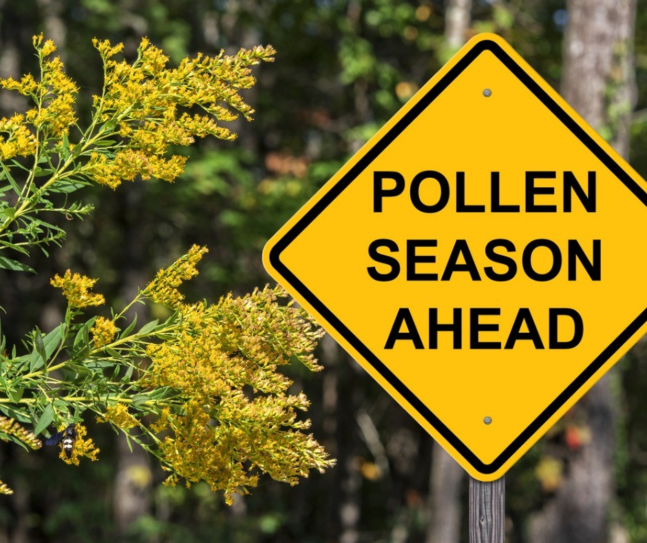 Pollen Season Ahead